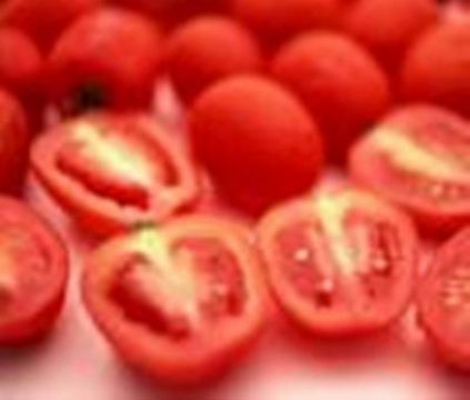 Tomato Extract Powder